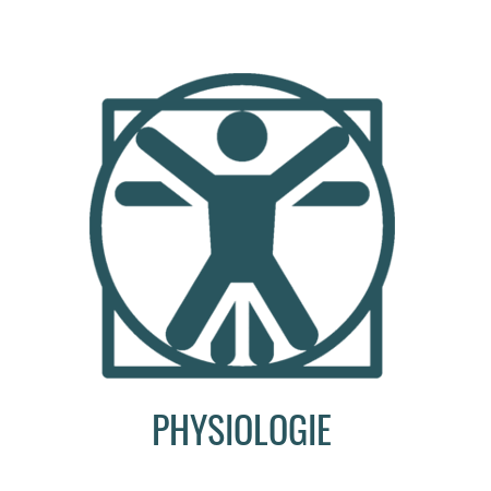Physiologie